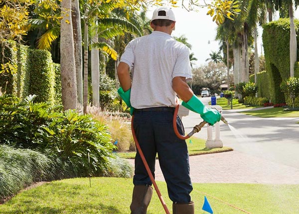 About Mallory NY Pest Control